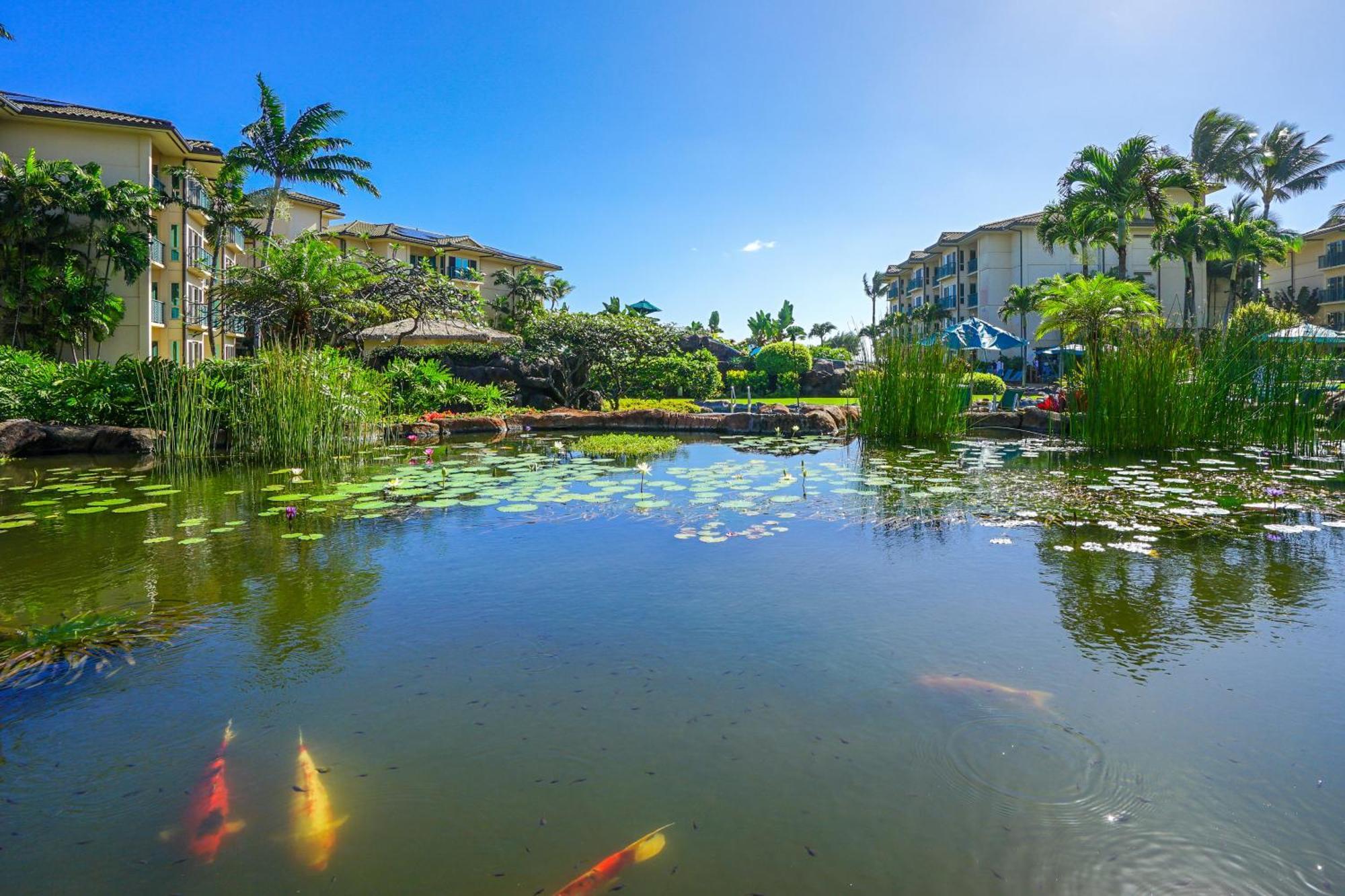 Waipouli Beach Resort คาปา ห้อง รูปภาพ